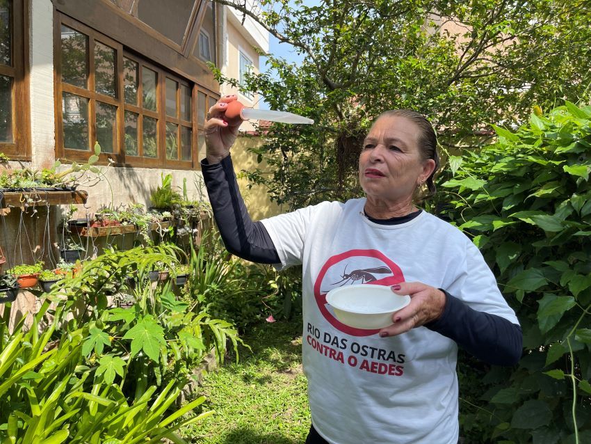 Município institui Comitê de Enfrentamento ao Aedes Aegypti