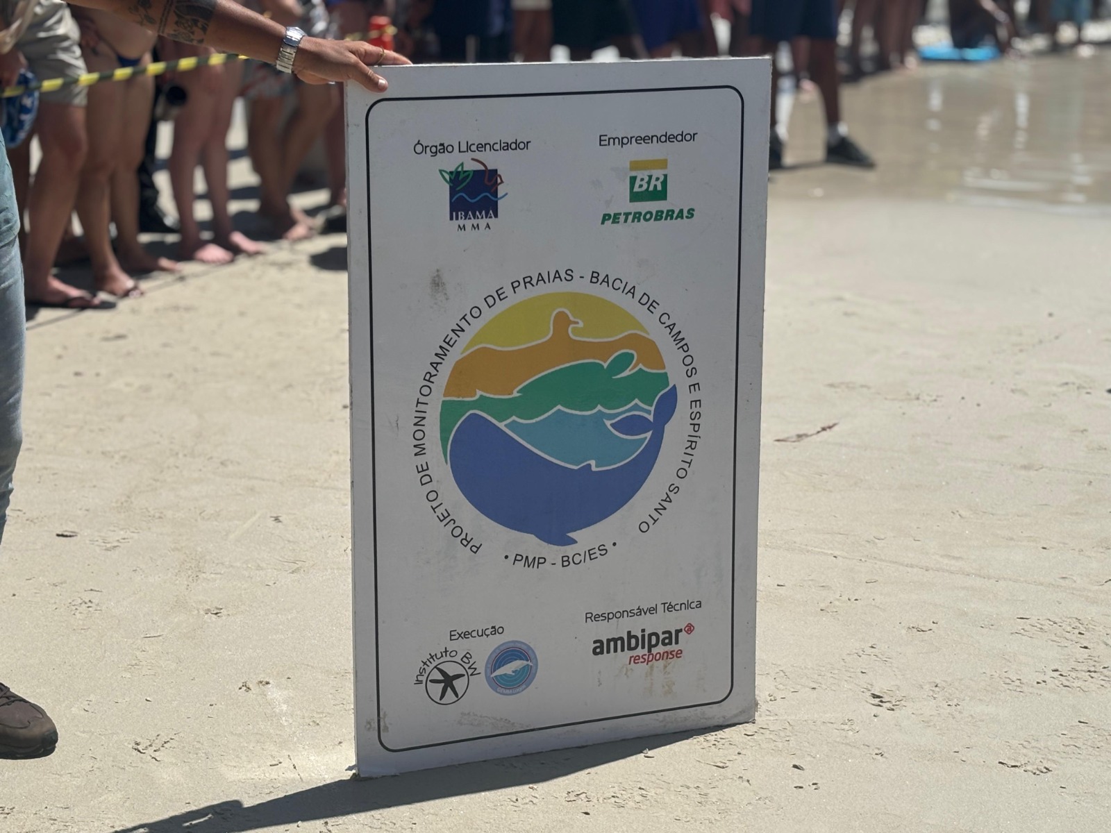 Após reabilitação, tartaruga-verde é solta no mar em Arraial do Cabo