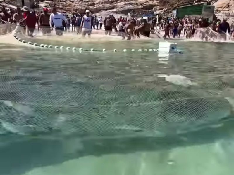 Pescadores de Arraial do Cabo celebram abundância de pesca artesanal na Praia Grande
