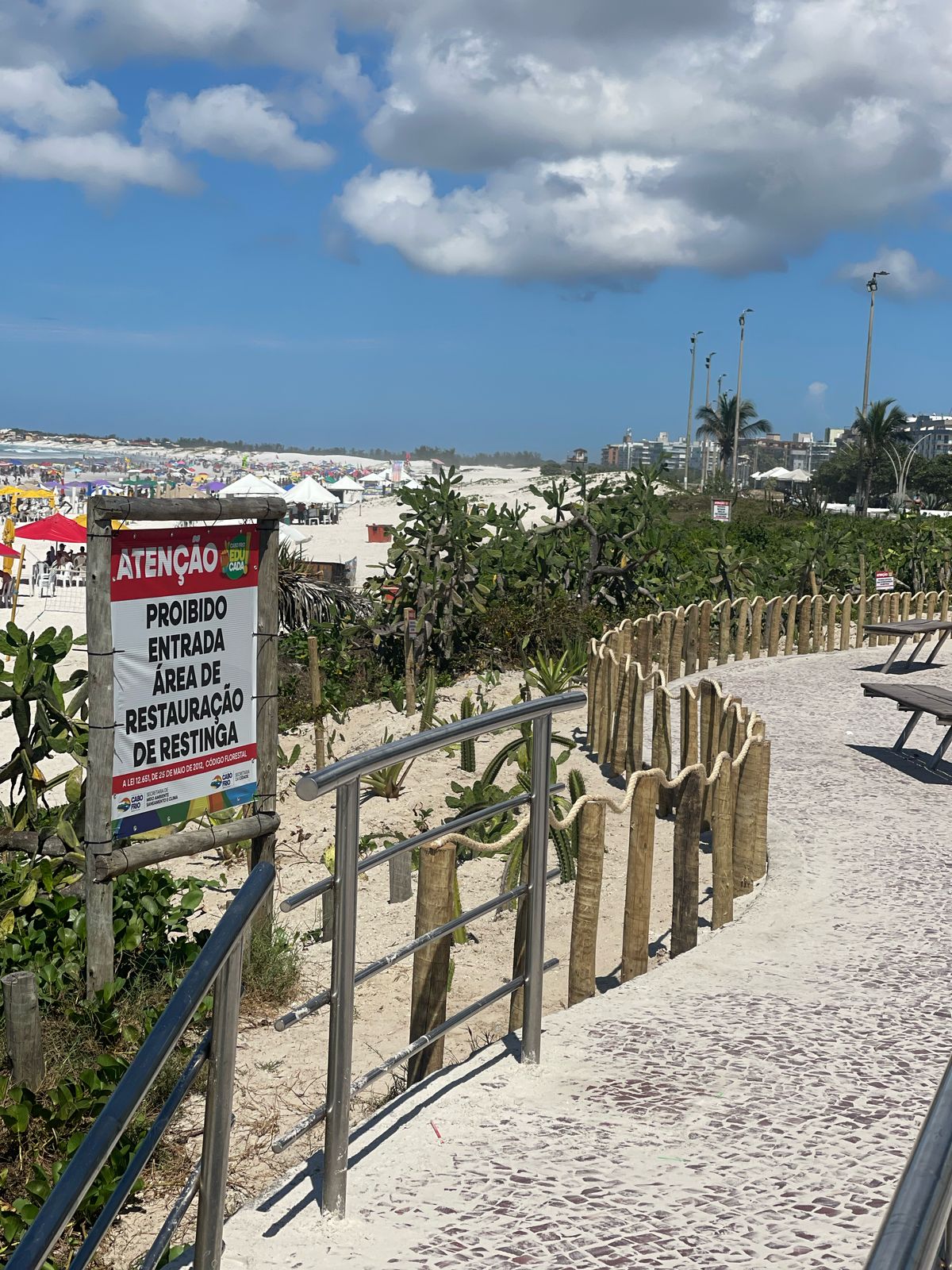 Replantio e novas estruturas ajudam a proteger a vegetação da Praia do Forte em Cabo Frio