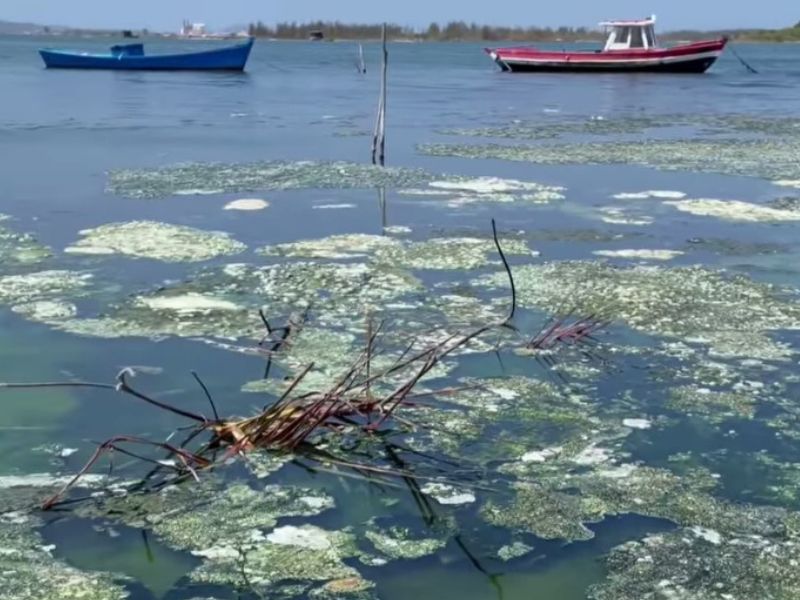 Poluição da Lagoa de Araruama causa fechamento em restaurante em São Pedro da Aldeia
