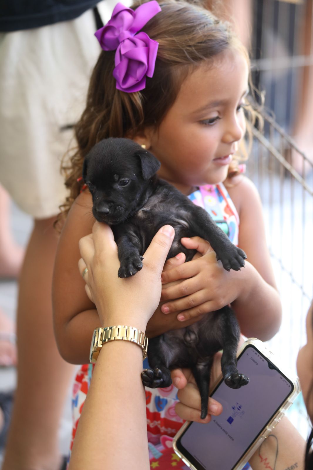Cabo Frio realiza nova edição da Feira de Adoção de Animais neste sábado