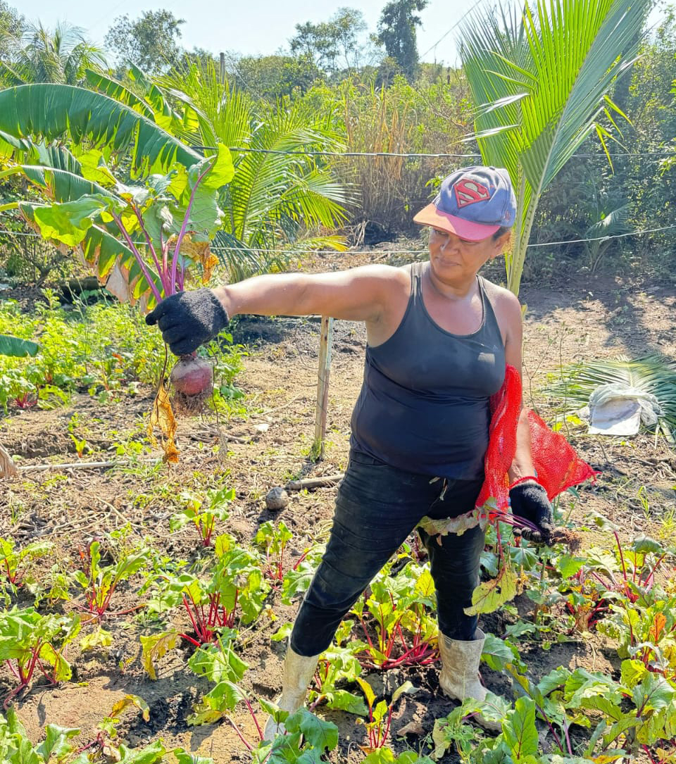Parceria entre Cabo Frio e produtores rurais garante alimentos frescos nas escolas