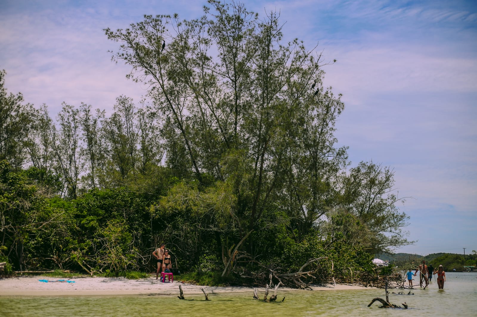 Cabo Frio realiza abraço simbólico à Ilha do Japonês com ação ambiental e educativa