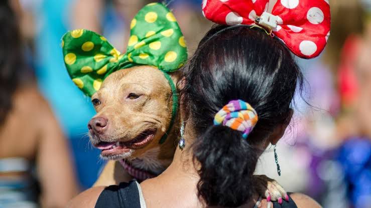 Primeiro  Carnaval Pet de Rio das Ostras promete diversão para toda a família