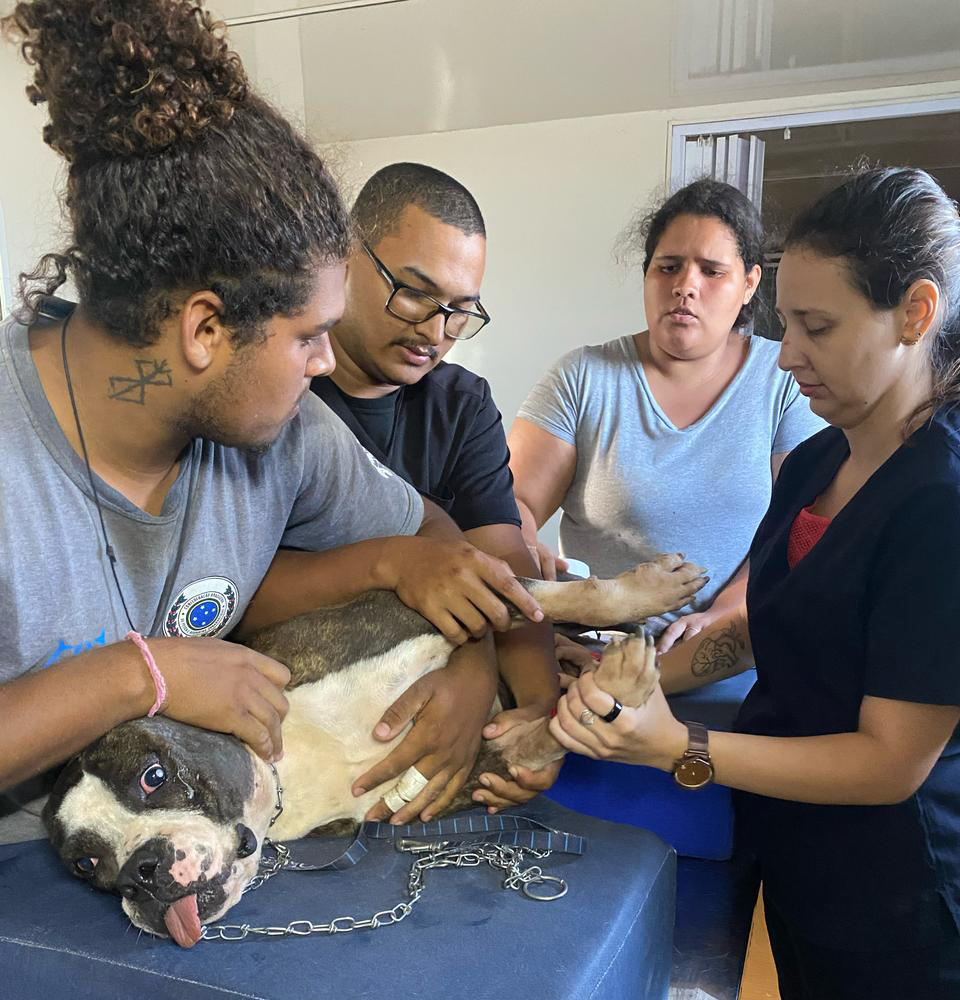 Cabo Frio zera fila de cirurgias no Canil Municipal e expande atendimentos veterinários