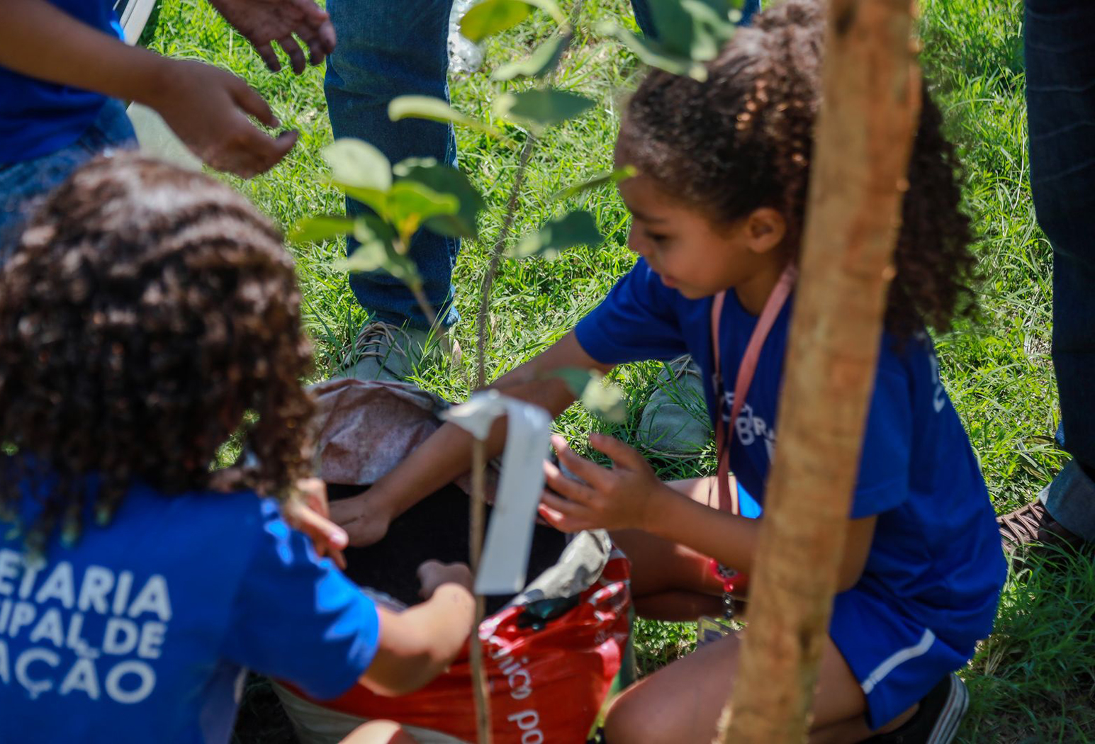 Educação e Meio Ambiente se unem em plantio no bairro Portinho em Cabo Frio