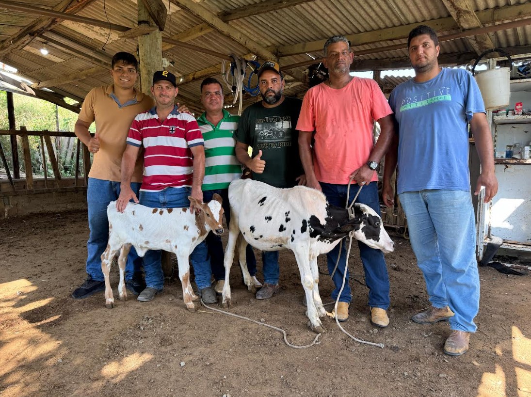Pecuária de Carapebus ganha força com novo projeto de inseminação artificial