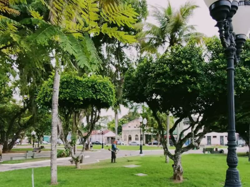 Prefeitura de Silva Jardim realiza ação de limpeza e manutenção em praça do Centro