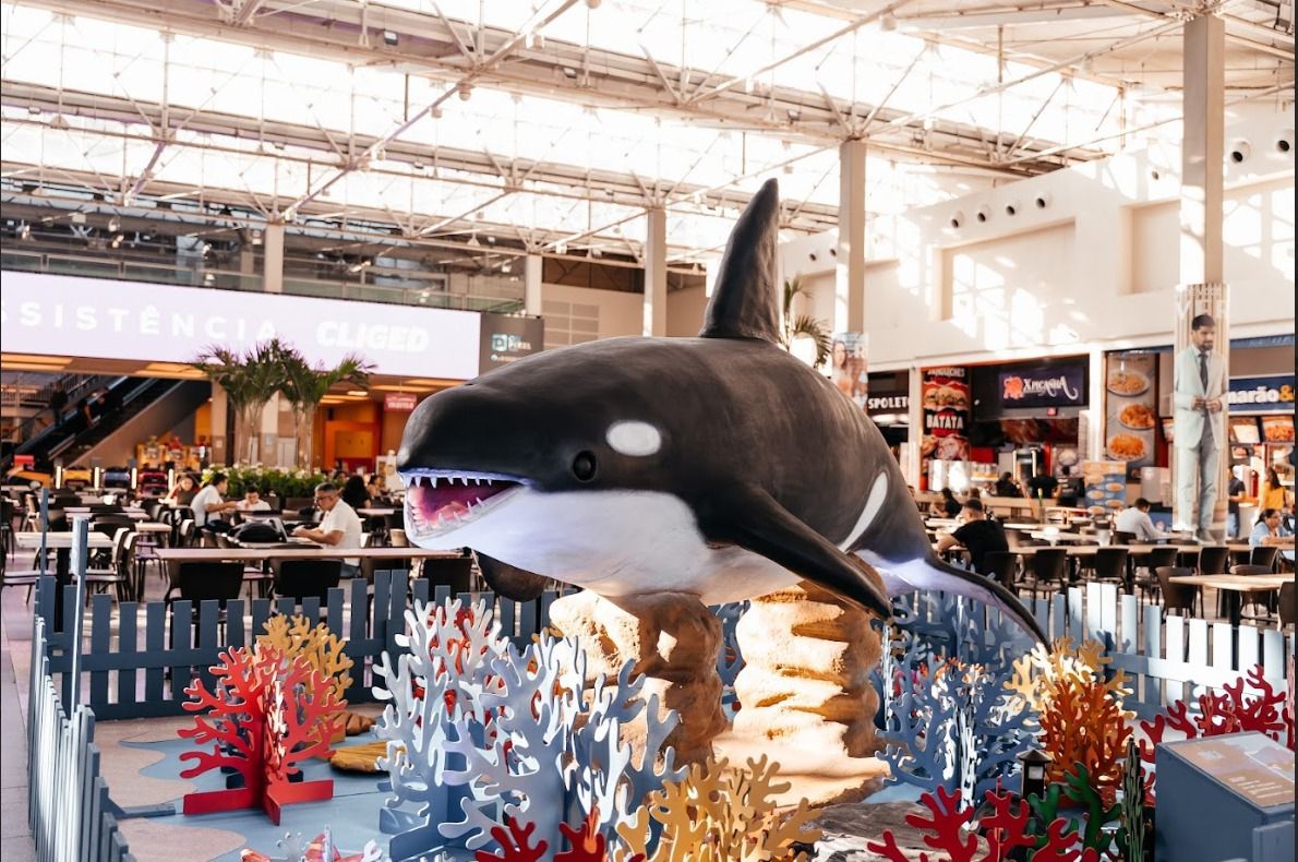 Plaza Macaé abre mostra com atividades lúdicas e foco em sustentabilidade