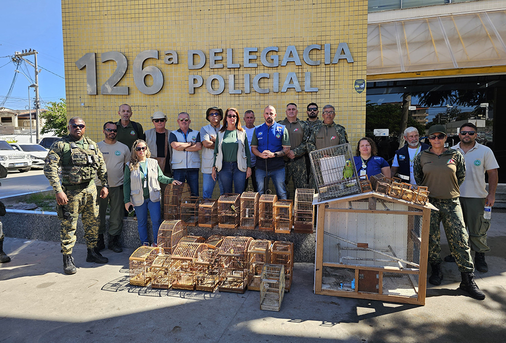 Ação conjunta em Cabo Frio desmonta cativeiro ilegal e protege aves silvestres