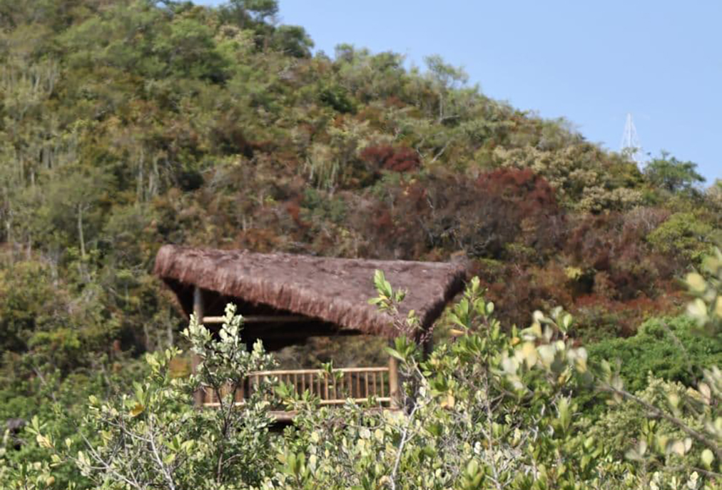 Fragmentos de verde celebram a preservação da Mata Atlântica em Cabo Frio