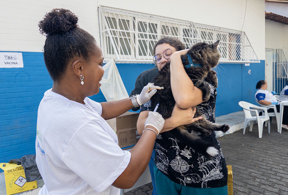 Vacinação anual em Macaé contra a raiva protege pets e evita risco à saúde pública