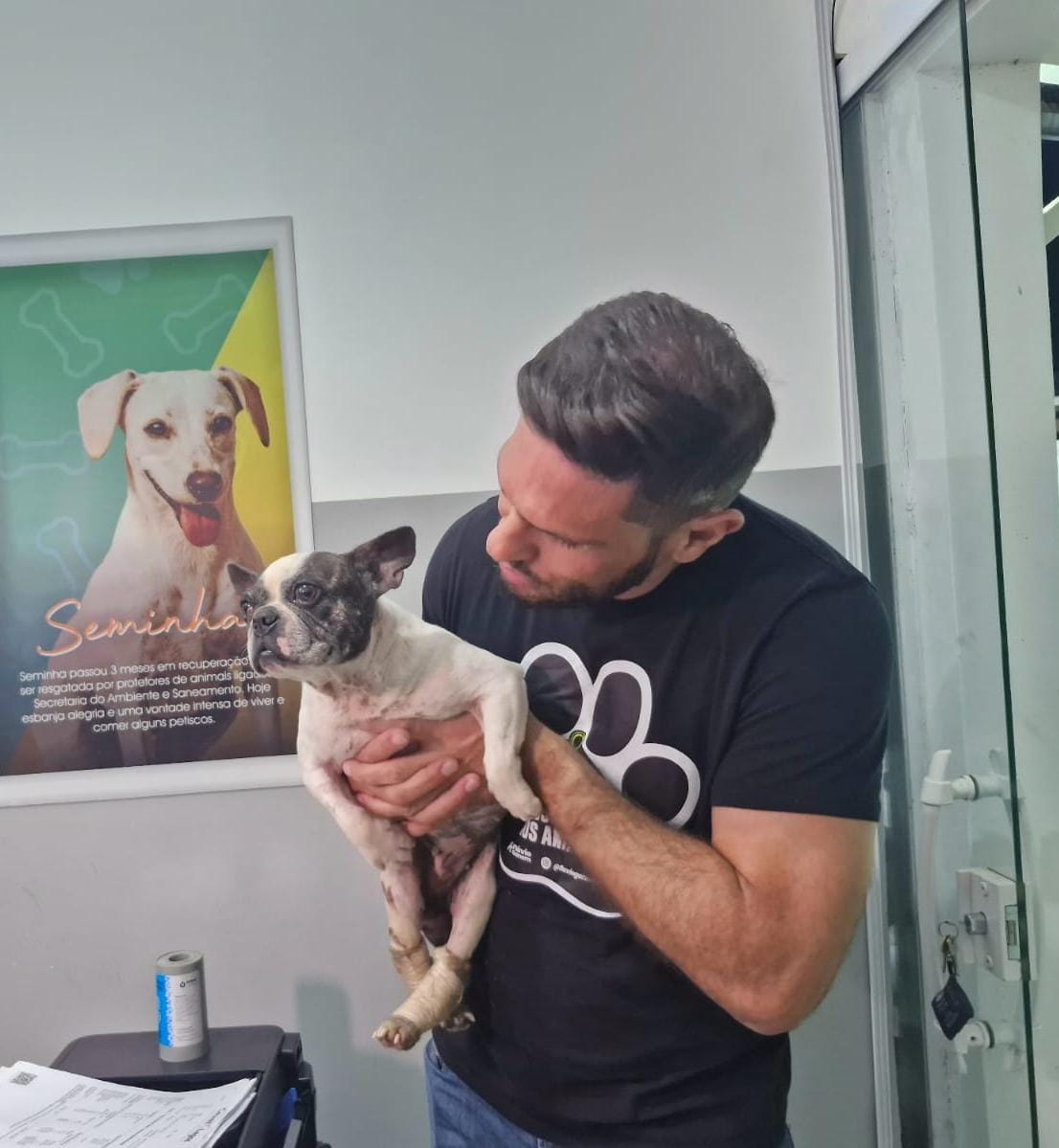 Alerta em Arraial do Cabo animais resgatados precisam de cuidados urgentes