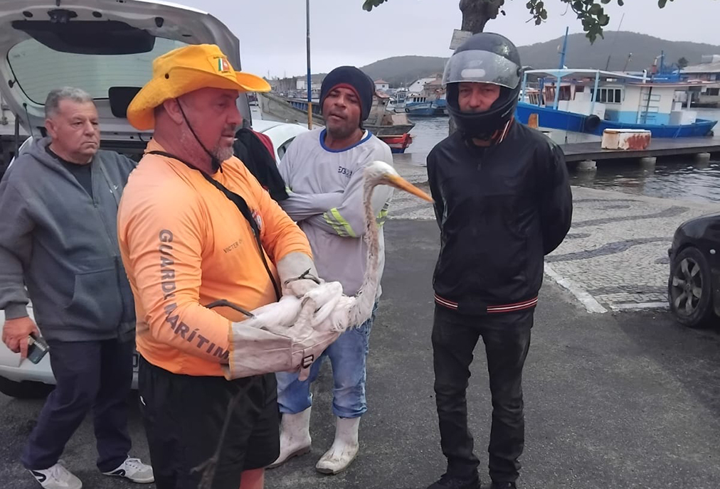 Guarda Marítima resgata garça em área ambiental de Cabo Frio