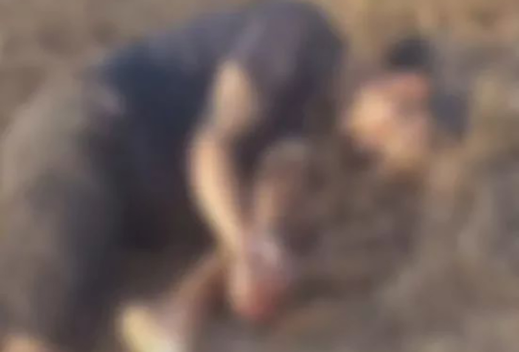 Homem não identificado é encontrado morto com marcas de agressão em Iguaba Grande