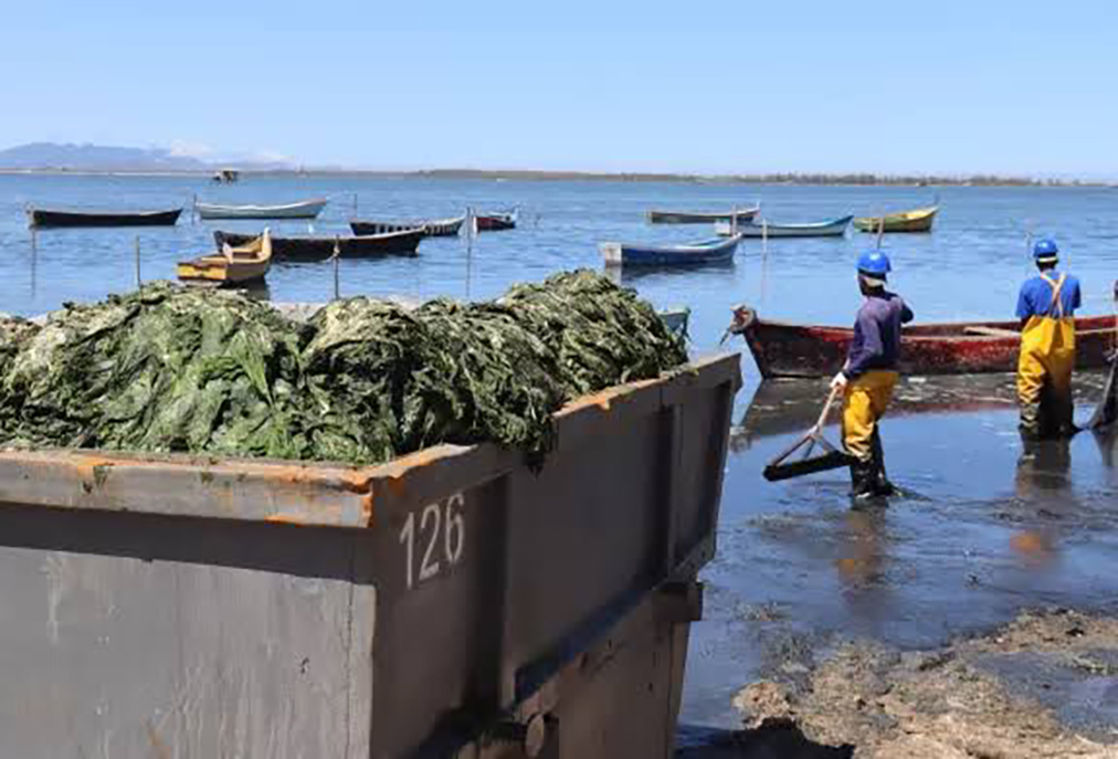 Sem data definida, remoção de resíduos na Praia do Siqueira preocupa moradores de Cabo Frio