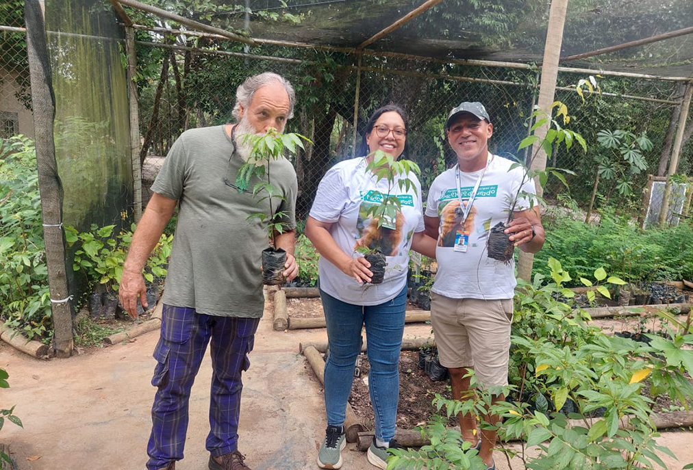 Parque do Mico-Leão-Dourado em Cabo Frio vira  ponto de encontro entre pessoas e biodiversidade