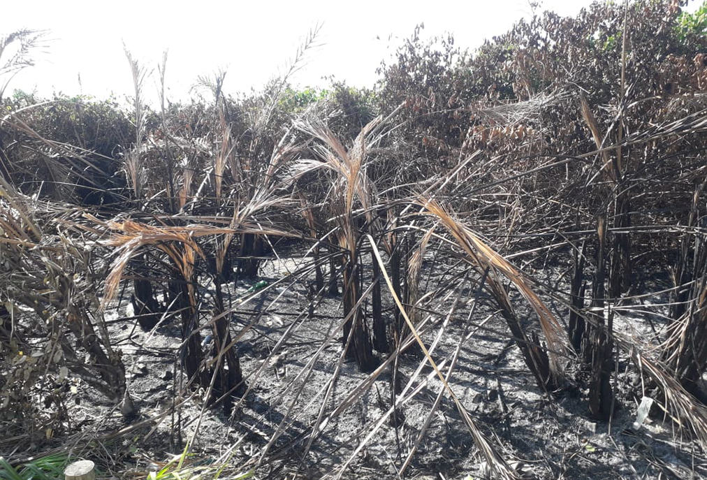 Após denúncia anônima, obra é paralisada e incêndio criminoso é apurado em Cabo Frio