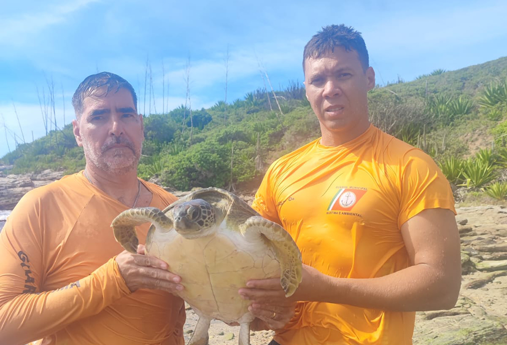 Ação rápida evita morte de tartarugas-marinhas em rede ilegal em Cabo Frio