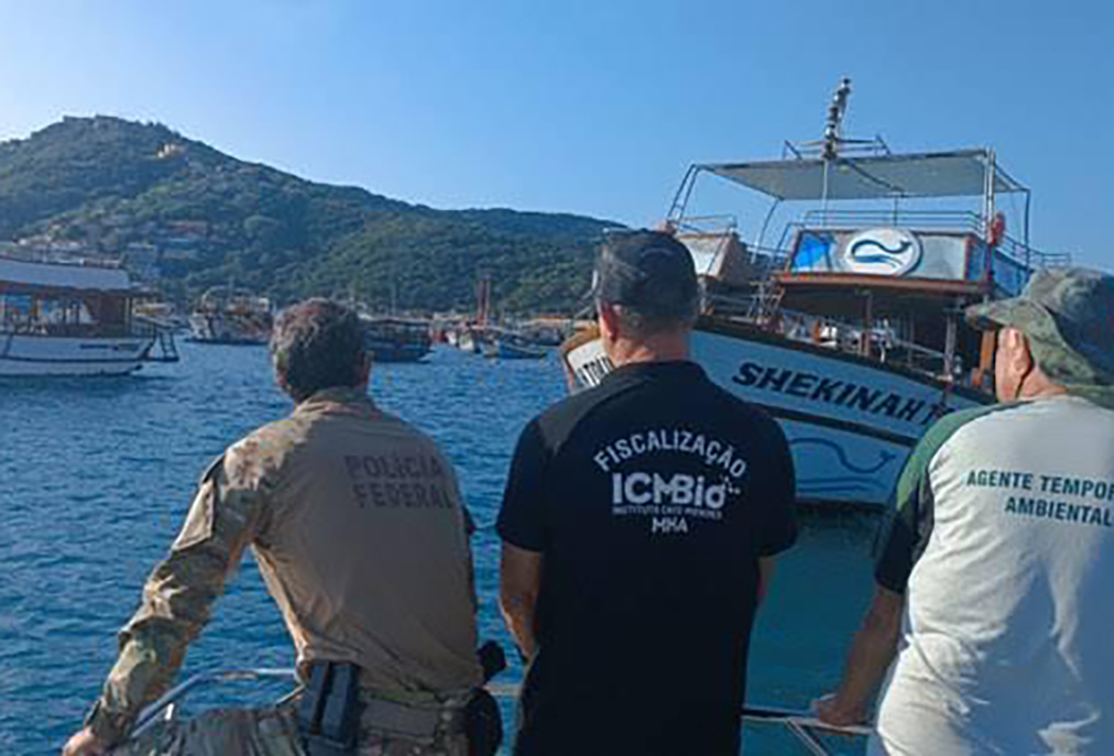 Baleias jubarte atraem turismo e recebem proteção reforçada em Arraial do Cabo e arredores