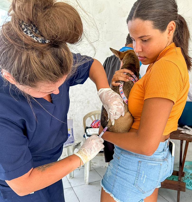 Imunização contra raiva abre posto fixo em Cabo Frio para pets a partir de 4 meses