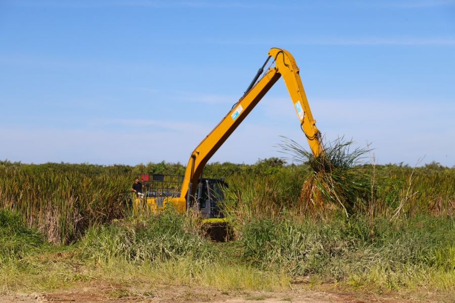 Ação ambiental busca resgatar paisagem da Lagoa do Iriry