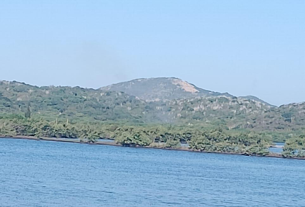 Guarda Civil de Cabo Frio atua na proteção da natureza e combate incêndio com resgate de albatroz