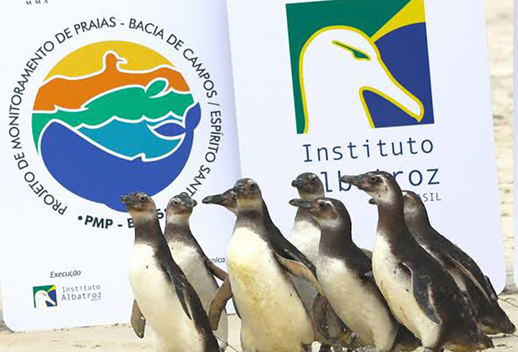 Iniciativa socioambiental busca jovens de Cabo Frio para curso com certificado e saídas de campo