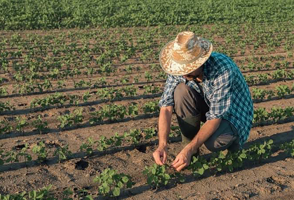 Sebrae e Fundação Banco do Brasil promovem formação para produtores em Cabo Frio