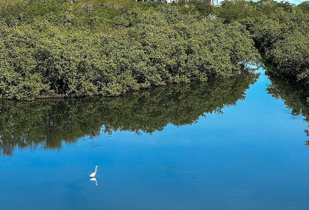 Prefeitura de Cabo Frio aposta em turismo ecológico e aprendizado nas férias escolares