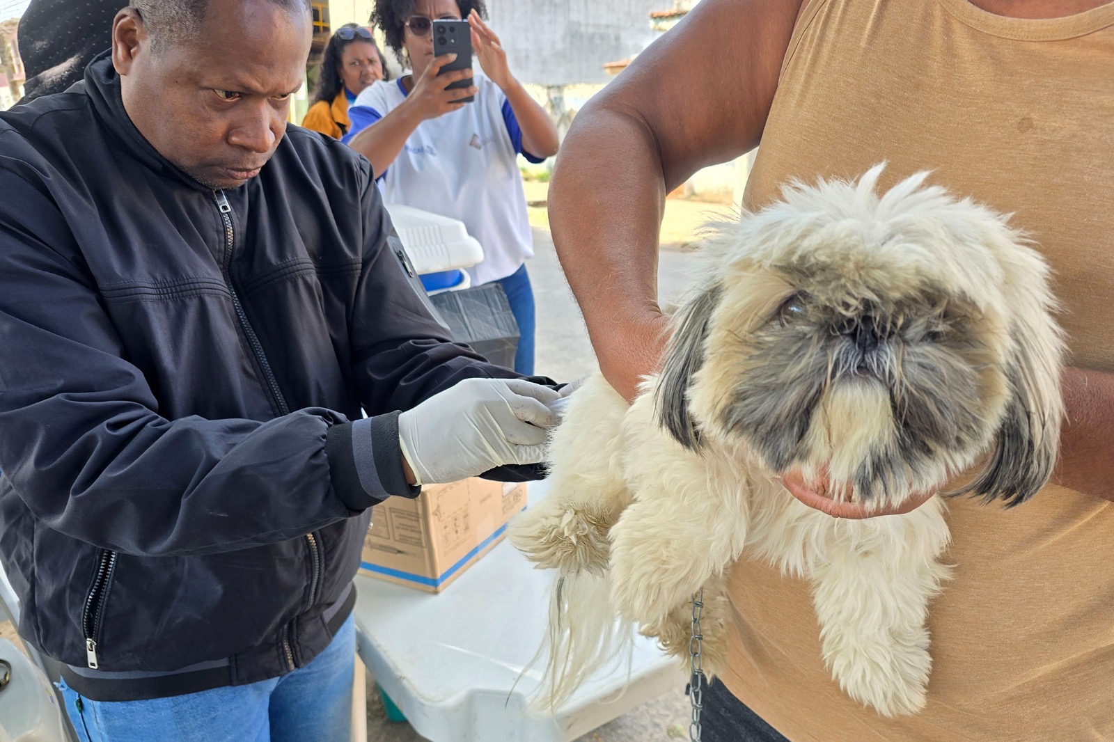Proteção animal: vacinação antirrábica segue em Macaé