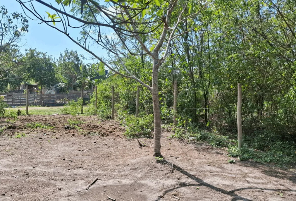 Cabo Frio intensifica fiscalização contra ocupações irregulares em parque ambiental