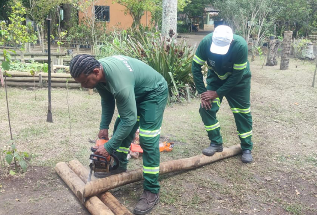 Horto Municipal de Cabo Frio inicia aclimatação de plantas essenciais para a zona costeira