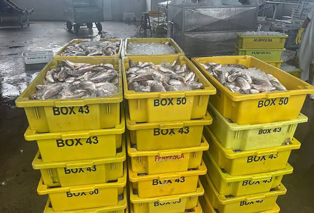 Carteira Nacional de Pesca é foco de ação gratuita em Arraial do Cabo