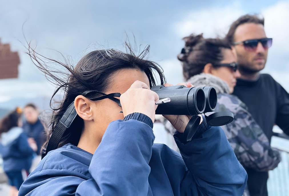 Observação de cetáceos transforma aprendizado em ação em Arraial do Cabo