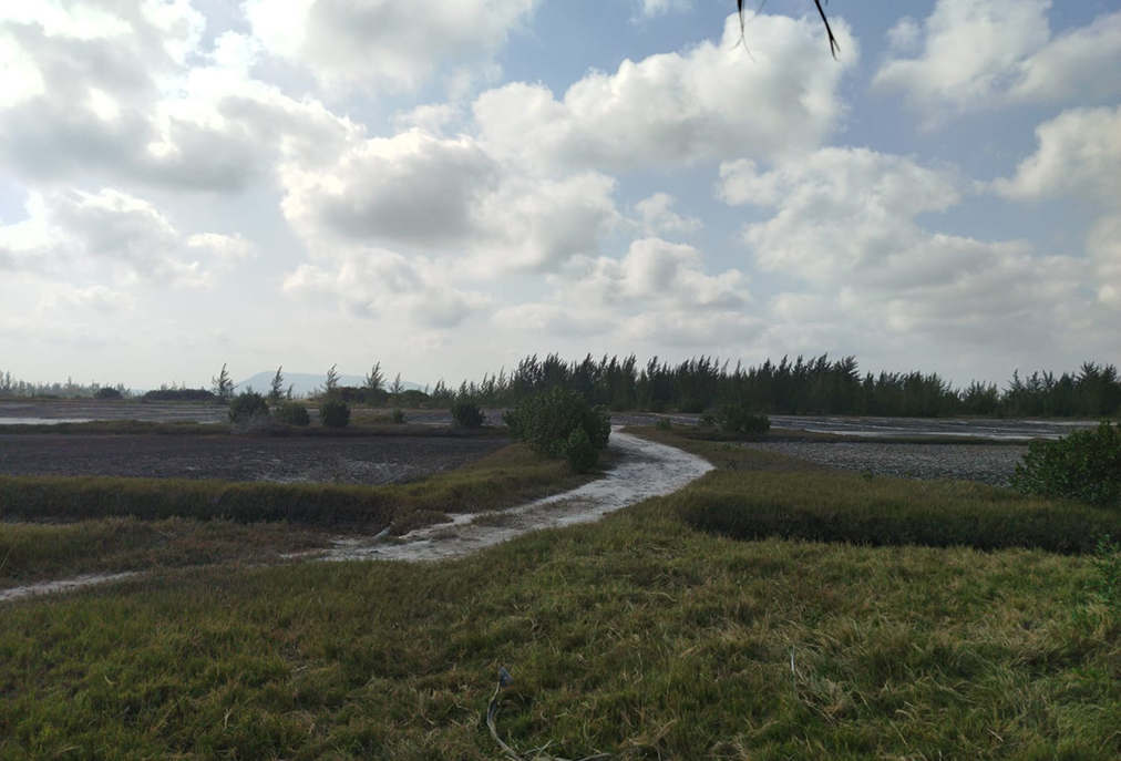 Arraial do Cabo resgata legado da produção salineira