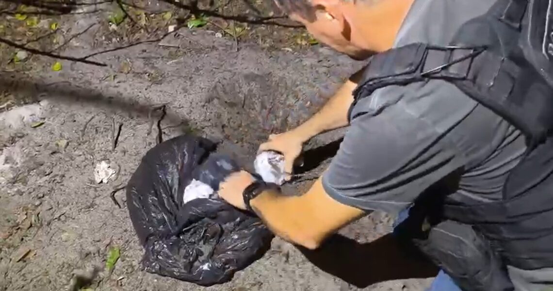 Polícia desarticula ponto de armazenamento de drogas no Lagomar em Macaé