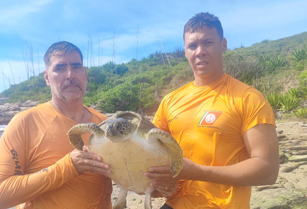 Diversidade da fauna em Cabo Frio reforça importância da preservação ambiental