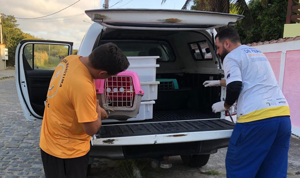 Cabo Frio registra novos resgates de fauna silvestre nesta semana