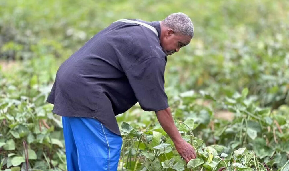 Secretaria de Agricultura de Cabo Frio realiza encontro sobre crédito rural em parceria com Sebrae