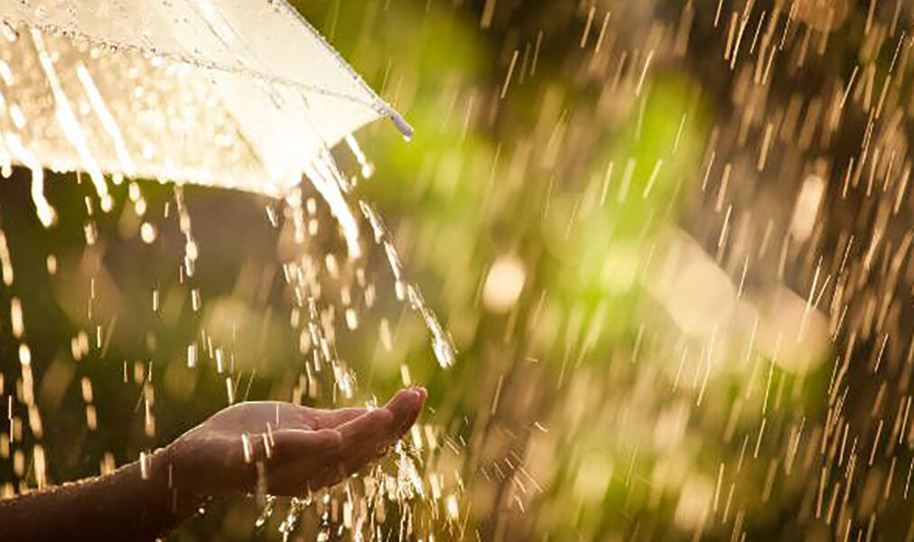 Chuvas intensas causam alagamentos e queda de árvore em Cabo Frio