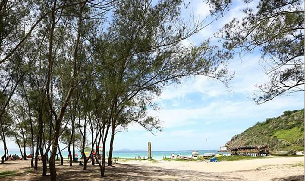 Cidadãos de Arraial podem contribuir para conservação das áreas verdes