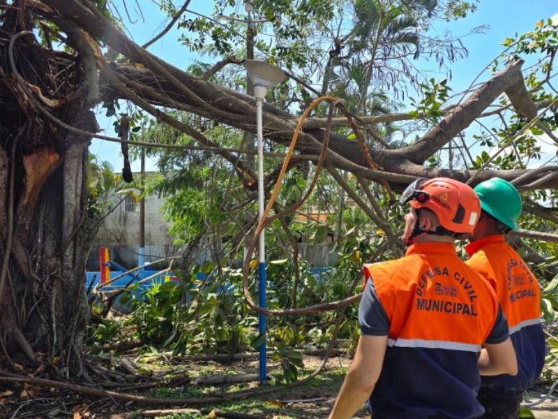 Defesa Civil de Rio das Ostras é acionada após ventos derrubarem galhos de árvore em Costazul