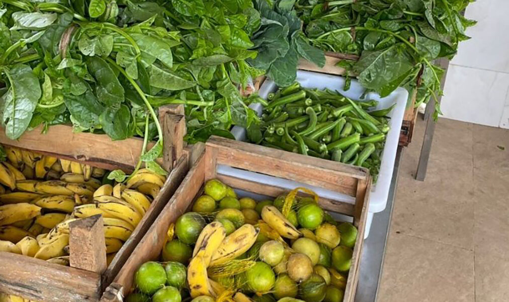 Feira do Produtor Rural de Saquarema acontece em Vilatur nesse sábado (1/11)