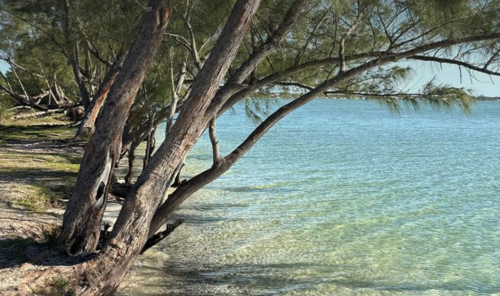 Praia Lagunar do Caiçara em Arraial é destaque internacional com renovação do selo Bandeira Azul