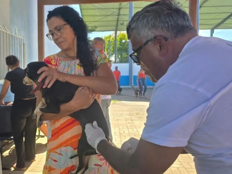 Vacinação antirrábica em Rio das Ostras passa eda casa dos 13,5 mil pets imunizados
