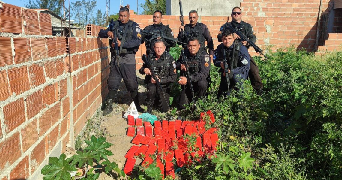 Esconderijo do tráfico é descoberto e PM apreende 49 tabletes de maconha