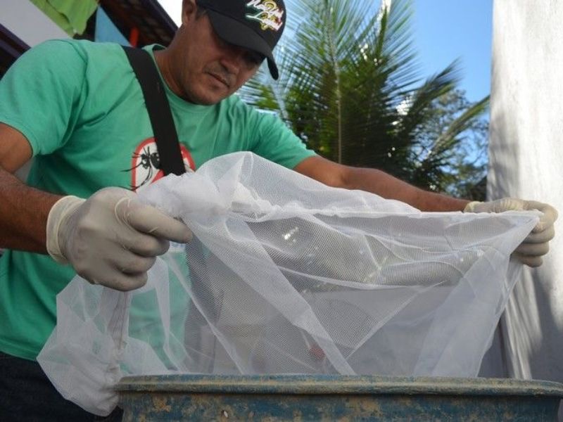 Combate à dengue será intensificado em Rio das Ostras nesse final de ano