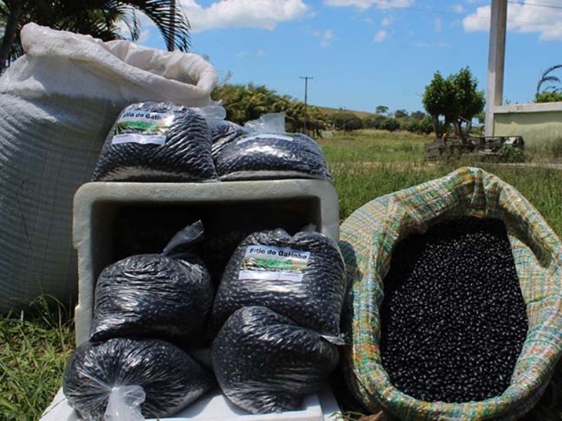 Samba, sertanejo e forró animam Festa do Feijão de Rio das Ostras a partir dessa sexta (21)